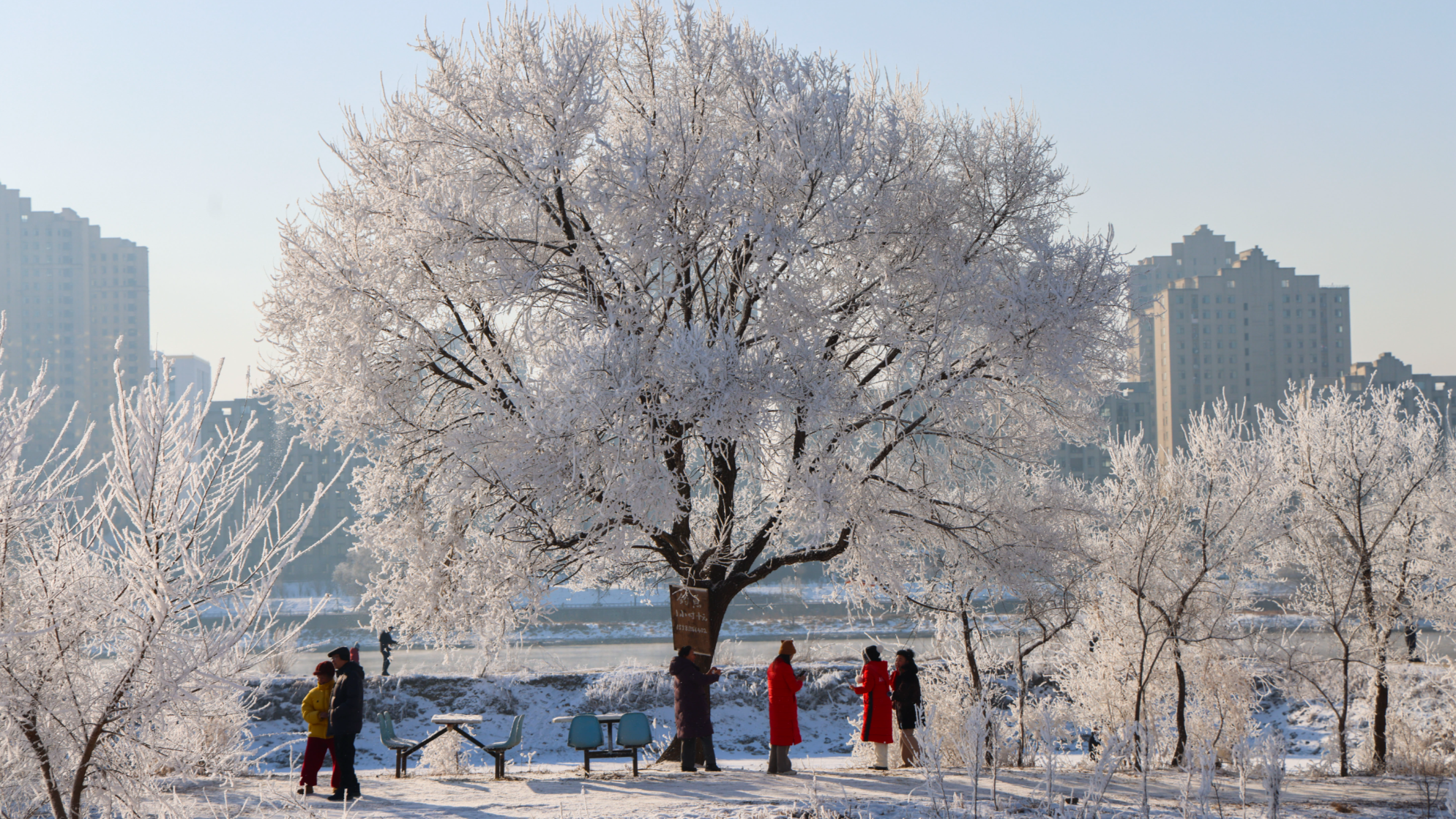 吉林省吉林市：幻想的な霧氷の景色が広がる