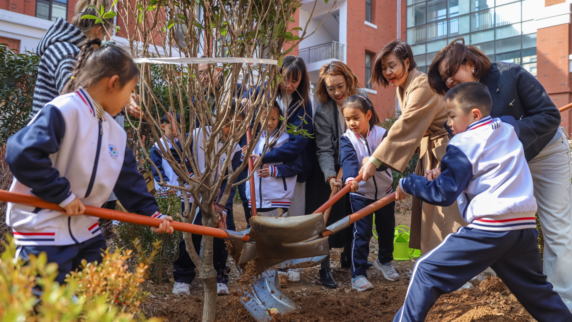 山東省青島市：「啓航樹」を共に植え　キャンパスに新緑を添え